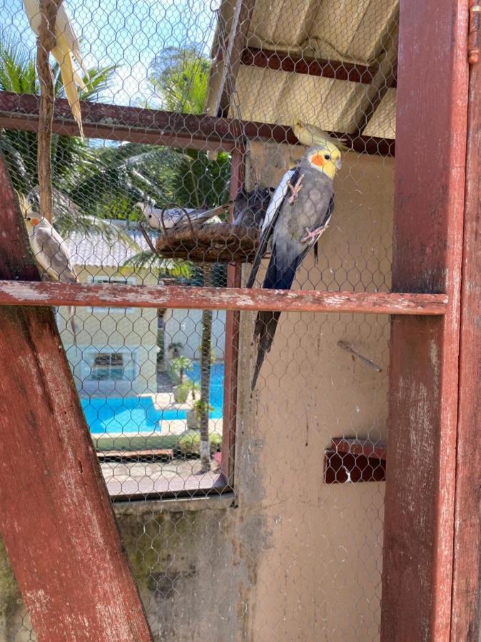 Casa da Jaqueira, 4 Suítes com ar e grande piscina Río de Janeiro